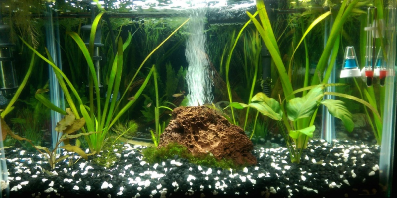 Гид по выбору и правильной установке аквариумных фильтров