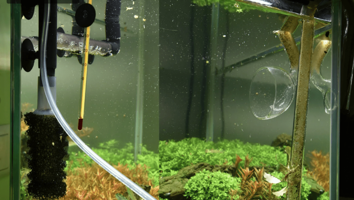 Гид по выбору и правильной установке аквариумных фильтров